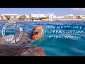 How we can help the SEA TURTLES of the Cyclades