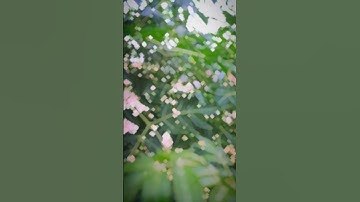 viral reel #video #viralshorts #youtube #reels