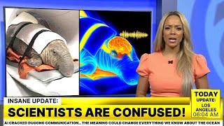 AI Cracked Dugong Communication… The Meaning Could Change Everything We Know About the Ocean