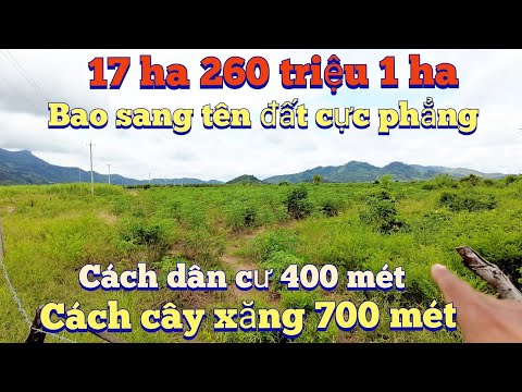 Video Cần nhượng 17 ha đất cát pha cách dân cư 400 mét cách... - youtube
