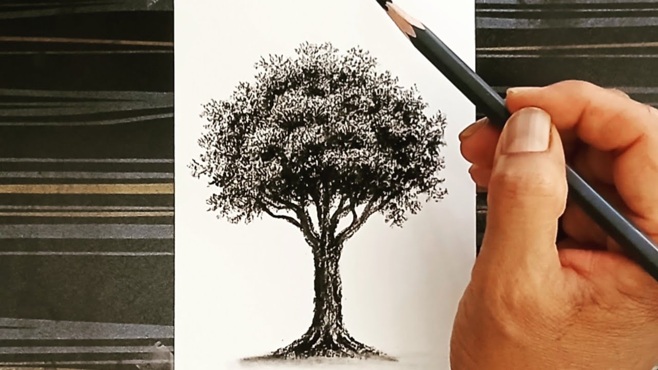 How to draw a tree by pencil with simple ways! Drawing for beginners .