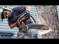 Felling Trees Near Buildings | HOW TO