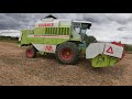 Уборка сої 2021 Молотим сою по найму Claas dominаtor118 sl maxi