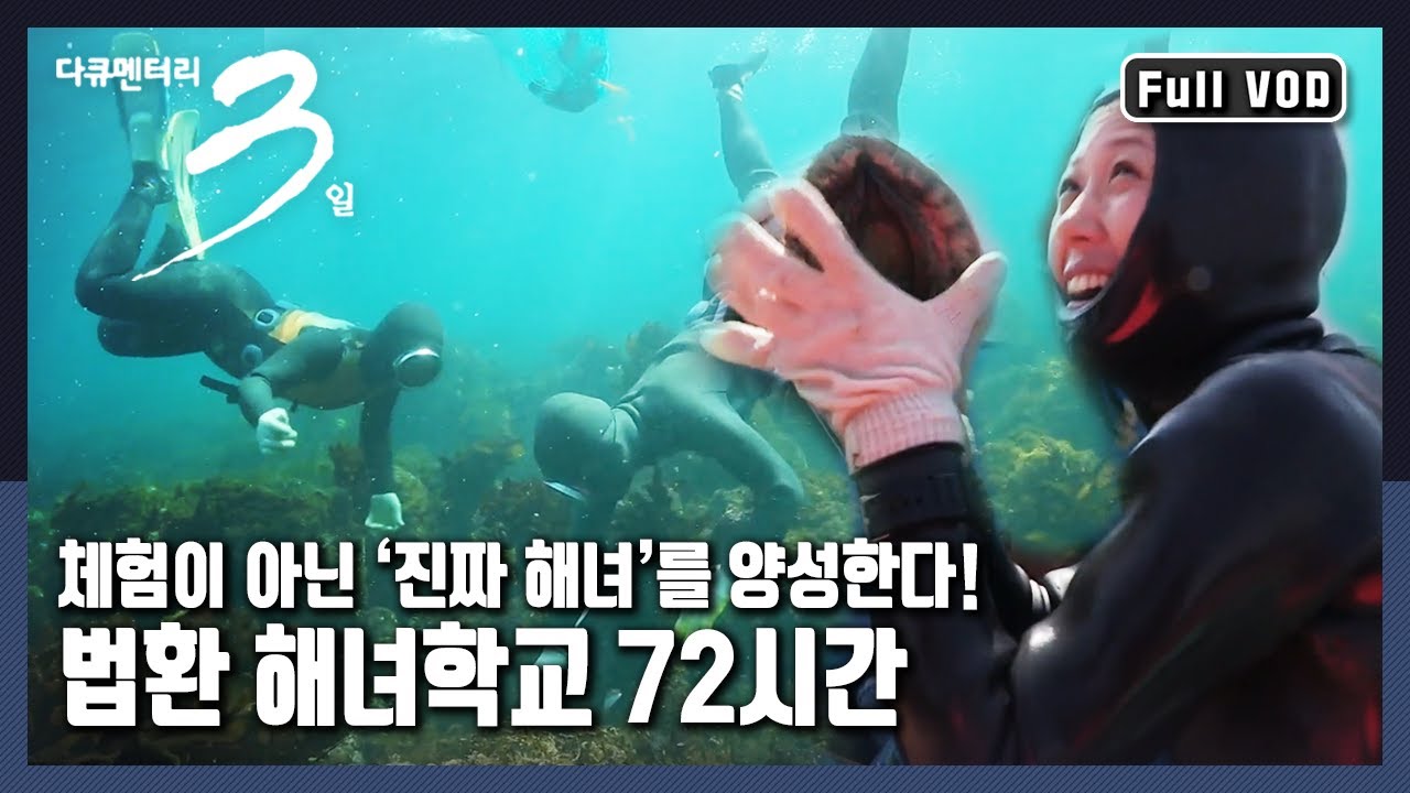 [다큐3일★풀버전] 제주 서귀포시 어촌계에 ‘해녀의 명맥’을 잇고자 하는 이들이 모여들었다 