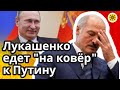 🇧🇾 Лукашенко едет на ковёр к Путину 🔥 Чем закончится и что его ждет после? 🔮 Что сказали карты ТАРО