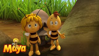 Party-Crasher - Part 3 - Maya The Bee