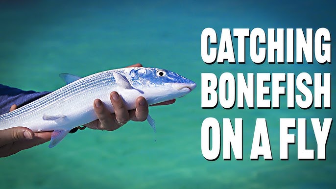 Tie An Effective Fly-Fishing Leader for Bonefish - Fly Fishing, Gink and  Gasoline, How to Fly Fish, Trout Fishing, Fly Tying