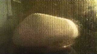 Exploding marshmallow