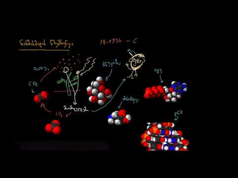 ვიდეო: როგორ ხდება ნახშირბადის ციკლი ბუნებაში?