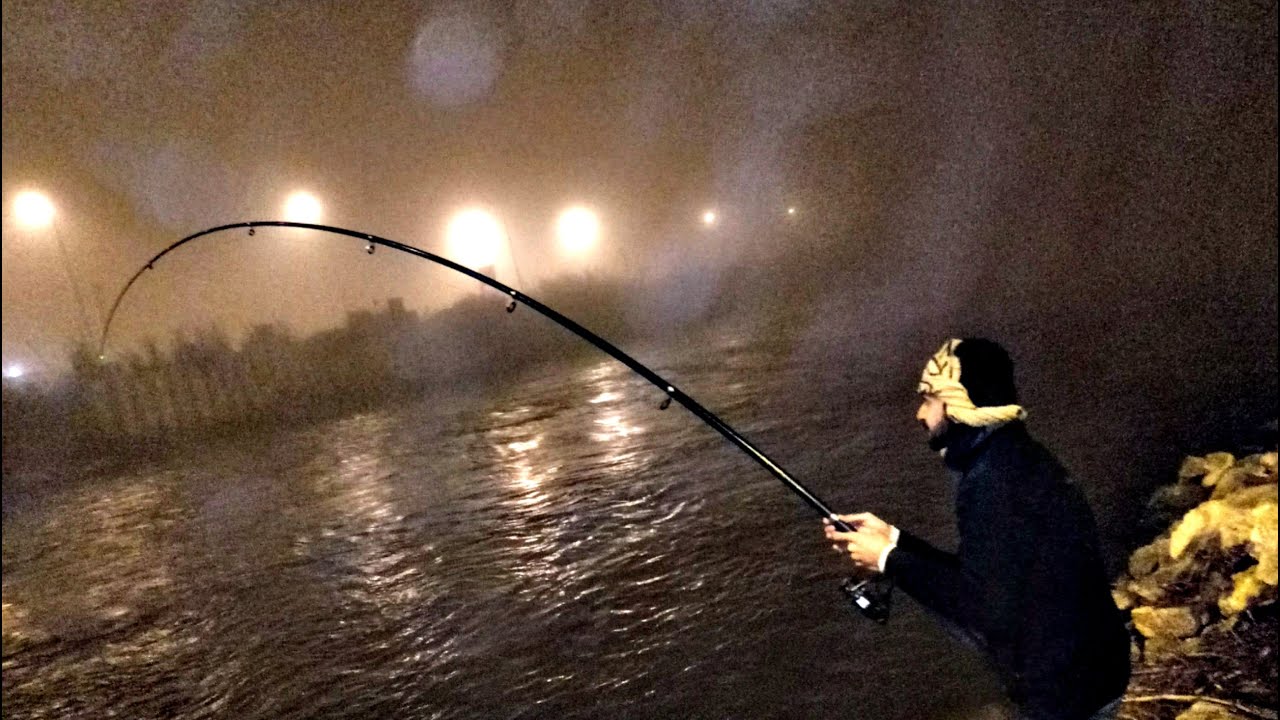 معركه طول الليل تعابين وبياض وبلطي النوبارية تتحدث