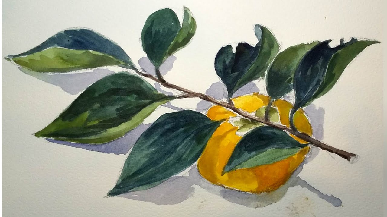 アクリル絵具で水彩風に 柿 描きました Youtube