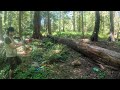 Nerf Zombie training