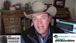 Feeder Flash 12/19:  Packer Margins Tightening
