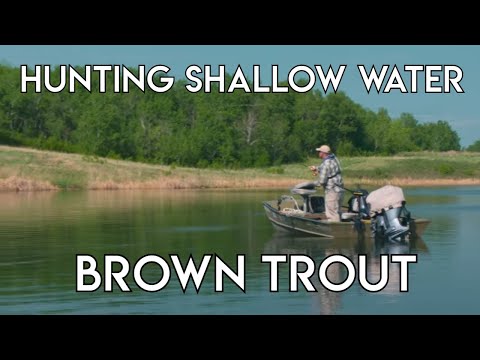 Video Shallow Water BrownTrout Hunting - youtube