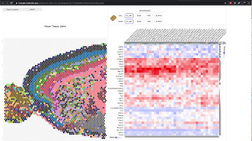 Visium-Clustergrammer2