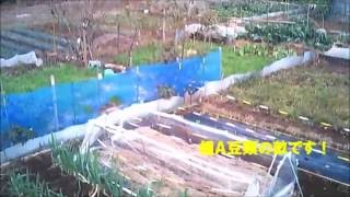 201612農園風景1