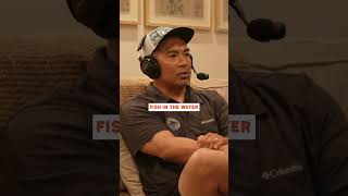 Avoid Killing Fish During Catch And Release