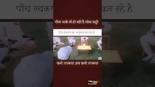 पाँच स्वरूप का अनुभव कर रहे है वरिष्ठ भाई I पीस पार्क में हो रही है योग भट्टी I #shorts