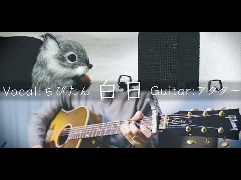 【リスが】白日 /King Gnu【歌ってみた】