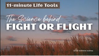 June 2025 Life Tools | davidji
