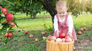 Apple Picking in New Jersey: A Family Fall Adventure