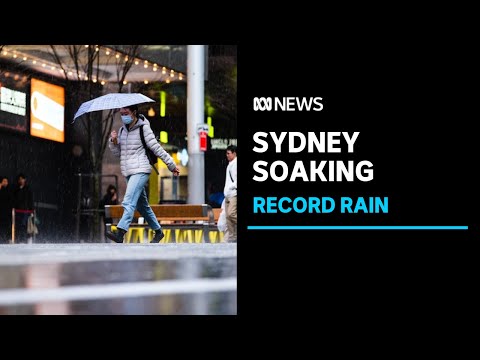 Sydney marks wettest year since records began | abc news