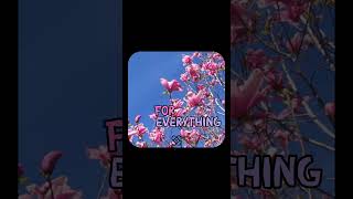 Absence De Système De Responsabilisation