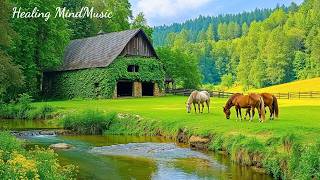 Music for Healing the Soul 🌿 Beautiful Relaxing Music and Nature Sounds for the Deep Sleep