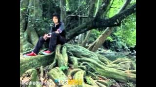 Forever love Ost. Yes Or No 2 By Tina Suppanart