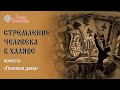 Литература в жизни человека | Что такое халява | Арина Никитина