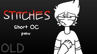 Stitches - Mini AMV