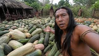 15 Ancient Native Crops That Should Have Replaced Modern Food!