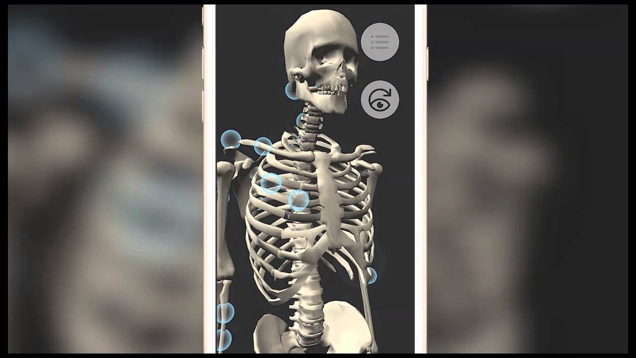 OT Kinesiology Pro-Consult