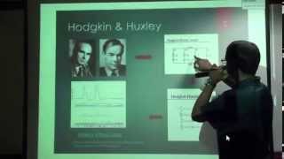 Introduction to Computational Modeling and Simple Spiking Neurons