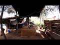Almorzando en el Ranchito - La Vida Del Rancho