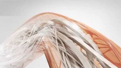 Fabrication CADmep Shared content libraries and databases