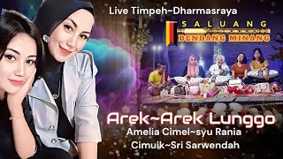 SALUANG DENDANG  LAMAK BASAMO AMELIA CIMEL JO KAWAN~KAWAN DI TIMPEH~DHARMASRAYA