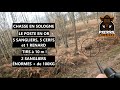 Chasse sologne en battue  5 sangliers 5 cerfs et 1 renard  le poste en or 