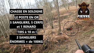 CHASSE SOLOGNE EN BATTUE : 5 SANGLIERS, 5 CERFS et 1 RENARD ! LE POSTE EN OR !