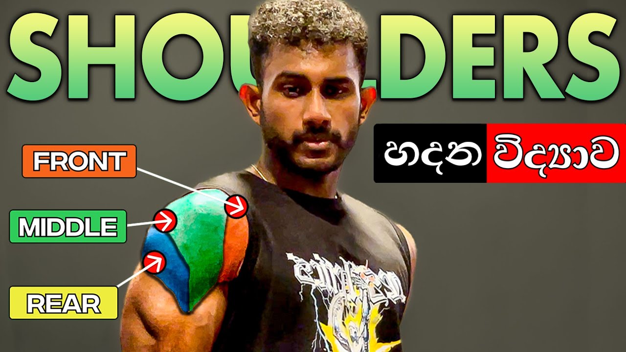 සුපිරිට 3D Shoulders හදන Exercises මෙන්න! | Shoulder Muscle Science In Sinhala