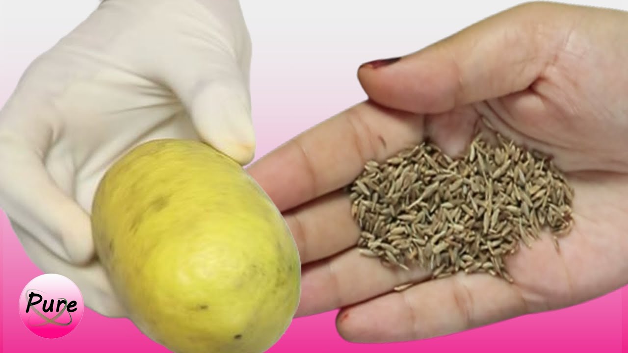 Смешайте семена тмина с лимоном ~ Секрет, который никто никогда вам не расскажет ~ Спасибо позже!