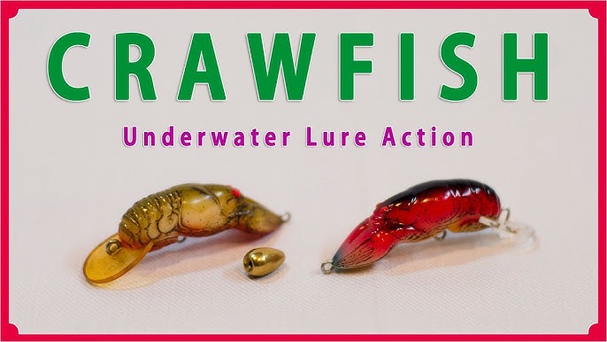 Evergreen Buzzer Beater Underwater Fishing Lure Action エバーグリーン ブザービーター の水中ルアーアクション Youtube Evergreen Buzzer Beater Underwater Fishing Lure Action エバーグリーン ブザービーター の水中ルアーアクション Youtube