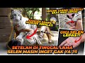 Begini reaksi selen ketika ketemu alshad setelah ditinggal 11 hari  masih inget ga ya 