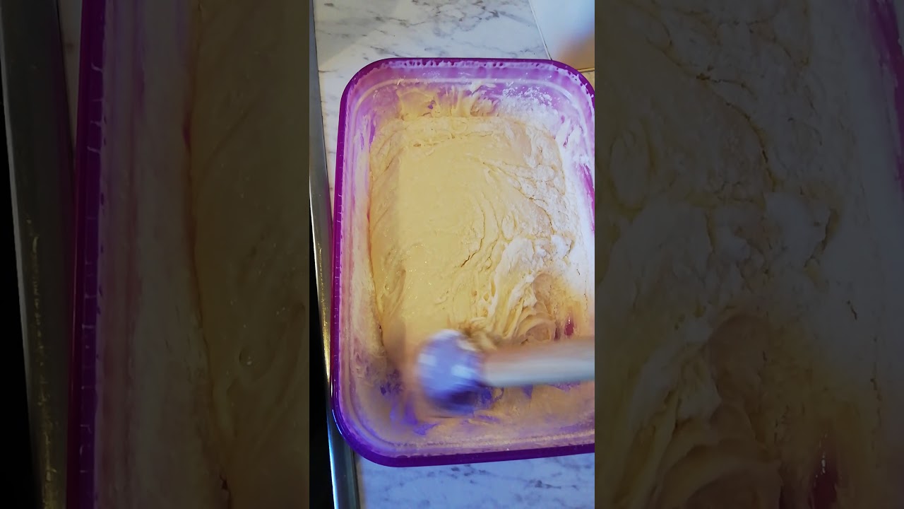 Herstellung Sauerteig vs. Hermann Teig