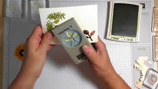 My Cardmaking Process (featuring Painted Harvest Stamp Set)