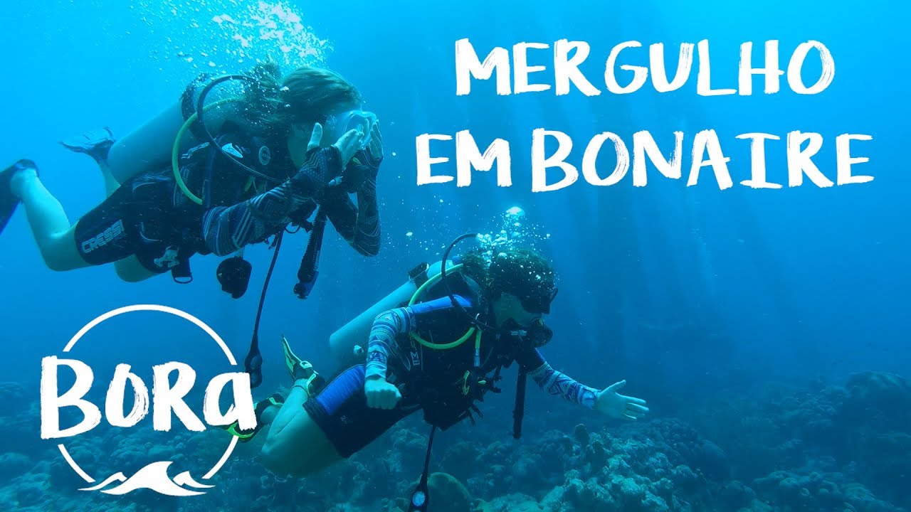 BORA #78 - O FUNDO DO MAR DE BONAIRE! De frente com criaturas lindas (English/Spanish CC)