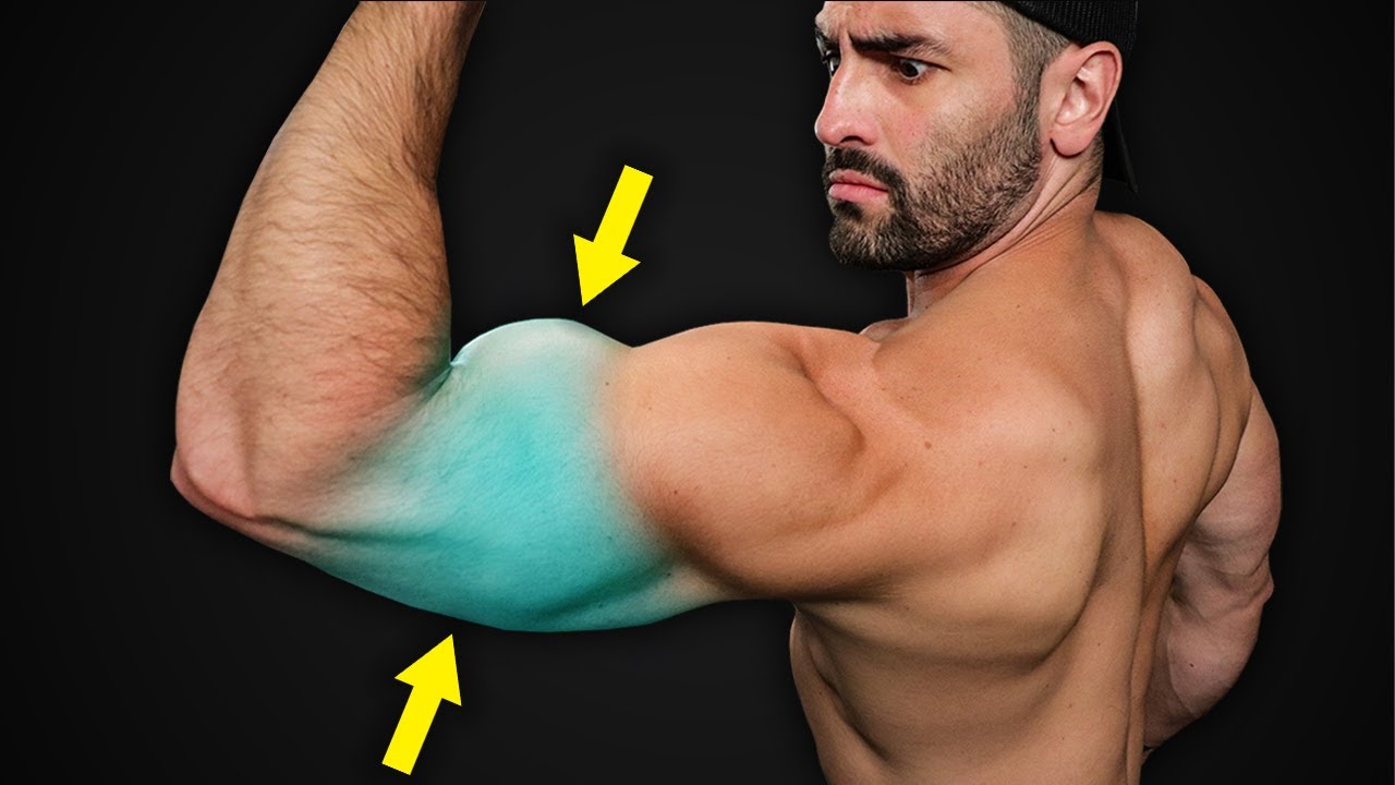 7min BIGGER ARMS Home Workout! (Insane Biceps & Triceps Routine) - YouTube
