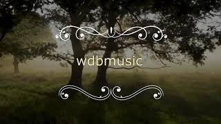 Celebration, performed by String Trio.. My Birthday Video!!