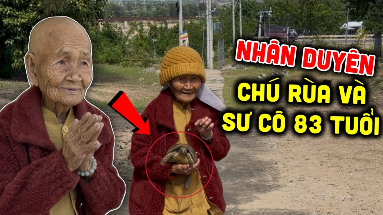 Ly kỳ- chú Rùa bò vào chùa tu cùng “Sư Cô 83T” nge mà nổi da gà 