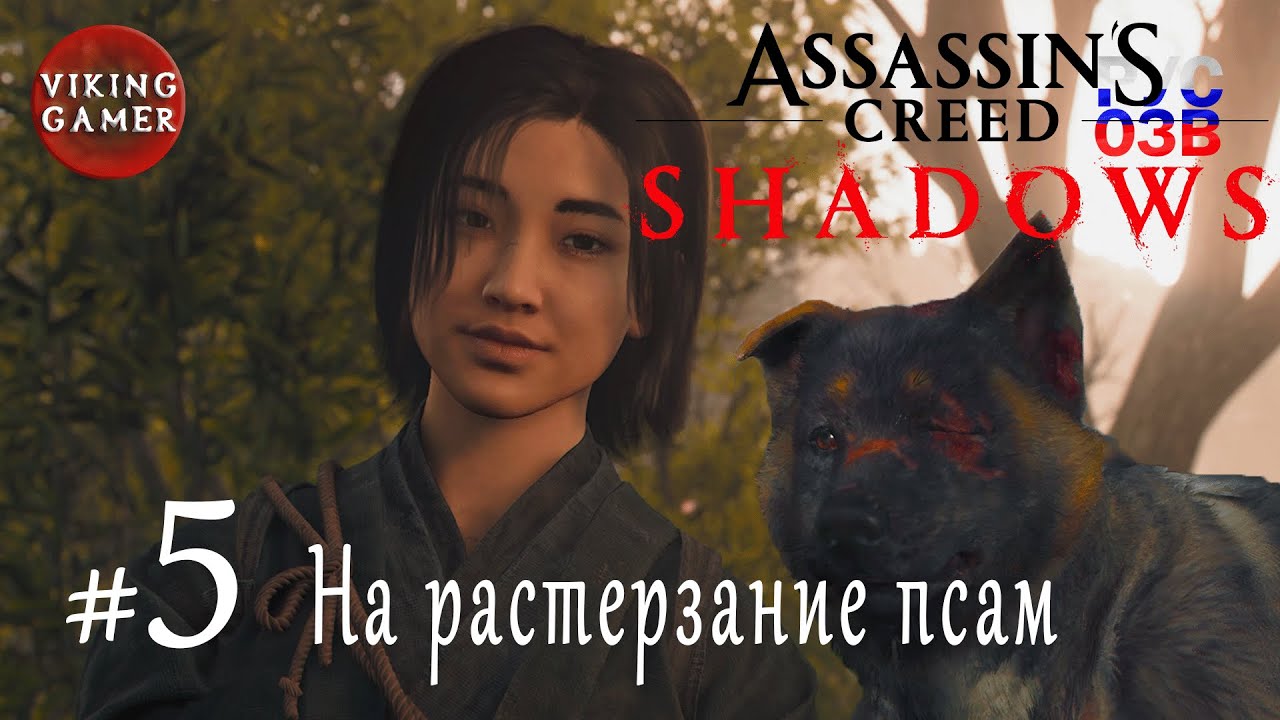 На растерзание псам .  Assassin’s Creed Shadows.  Прохождение 5